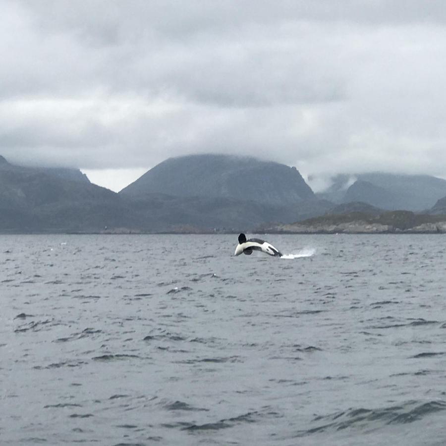 Fishermans Rorbu 2 - Lofoten Ramberg Exterior foto